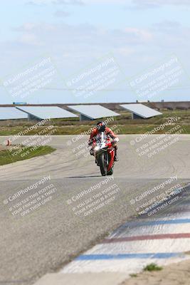 media/Mar-23-2025-TrackDaz (Sun) [[88a7749186]]/B Group/1220pm (Wheelie Bump)/